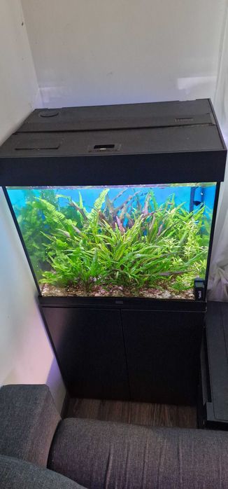 Akwarium Juwel 120 litrów komplet z szafką stan bdb + życie