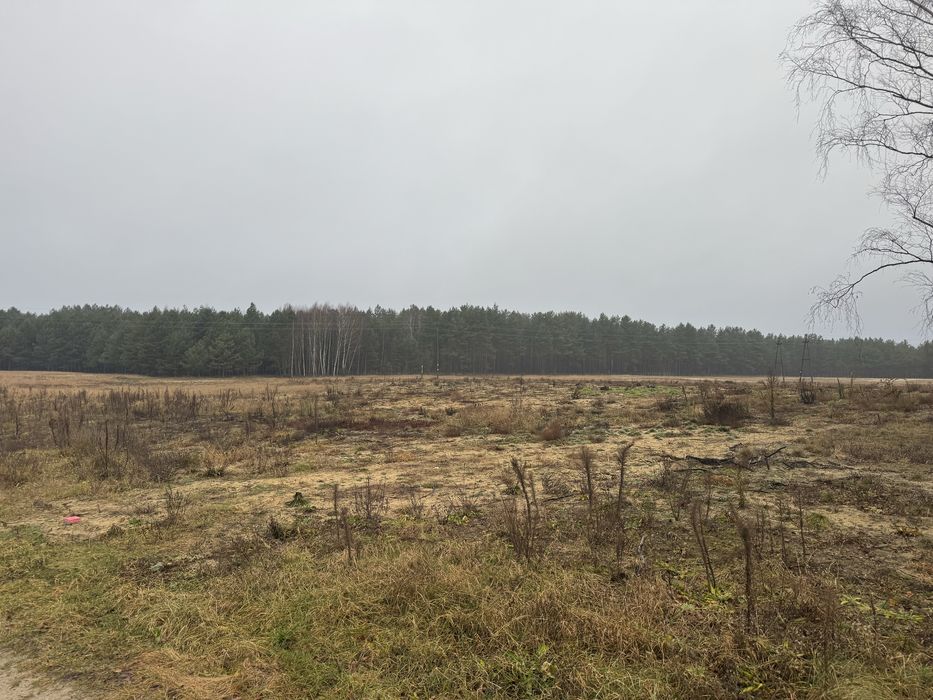 Działki z warunkami zabudowy - Widok 5
