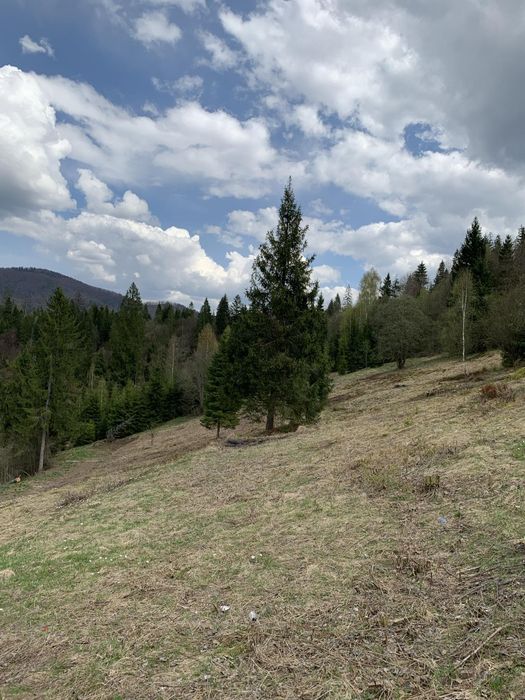 Продається земельна ділянка