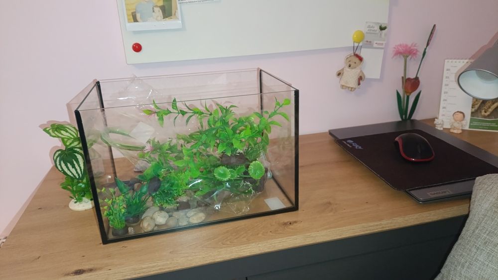 Małe akwarium plus dodatki wymiary 30x20 cm