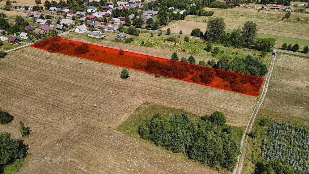 Działka z WZ w Białowieży - Widok 5