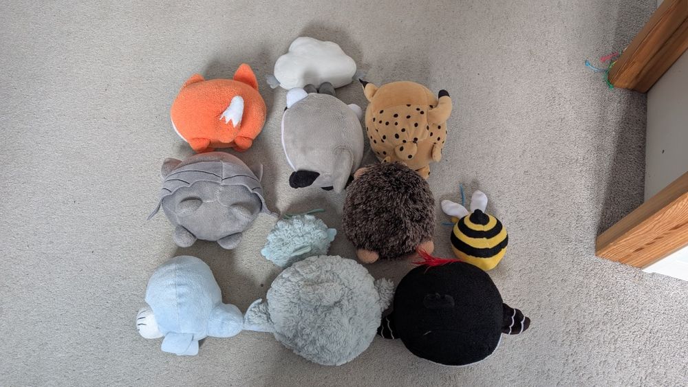 Słodziaki pluszaki z Biedronki