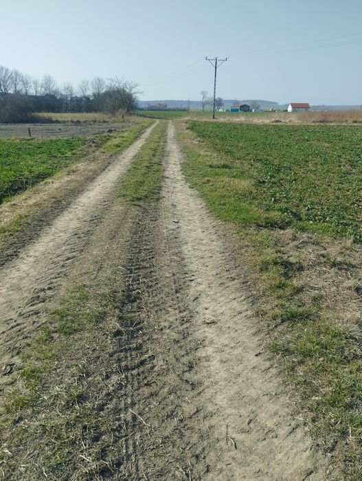 Działka/działki budowlane 5 sztuk dolnyślask Lusina-Strzegom