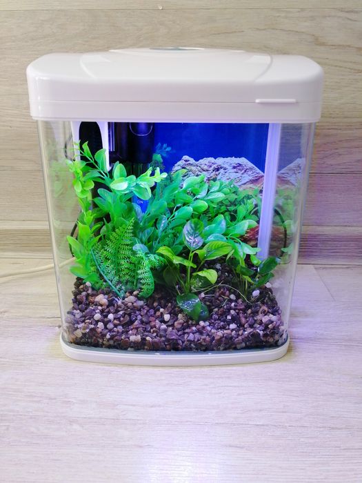 Акваріумний набір з рибками 7л | Безкоштовна доставка під ключ