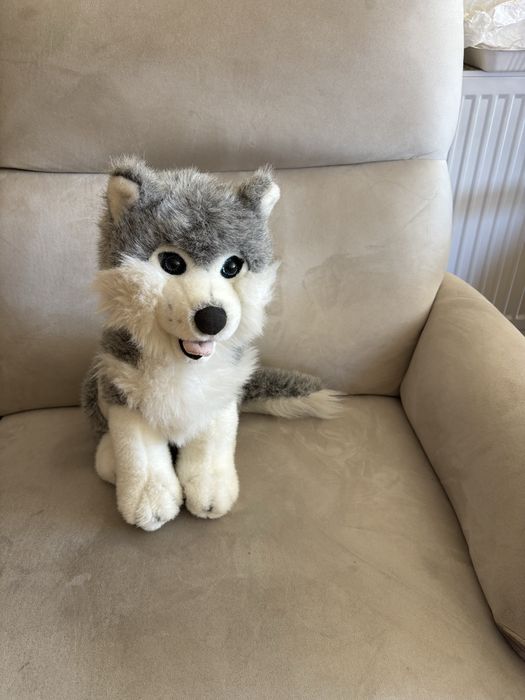 Maskotka piesek husky wys 38 cm