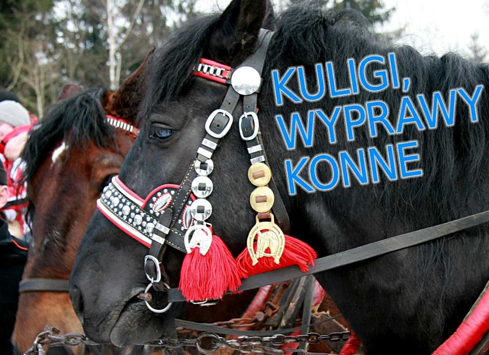 Ferie dla rodziny z dziećmi. Pokoje w górach: Ustroń, Wisła NAJTANIEJ