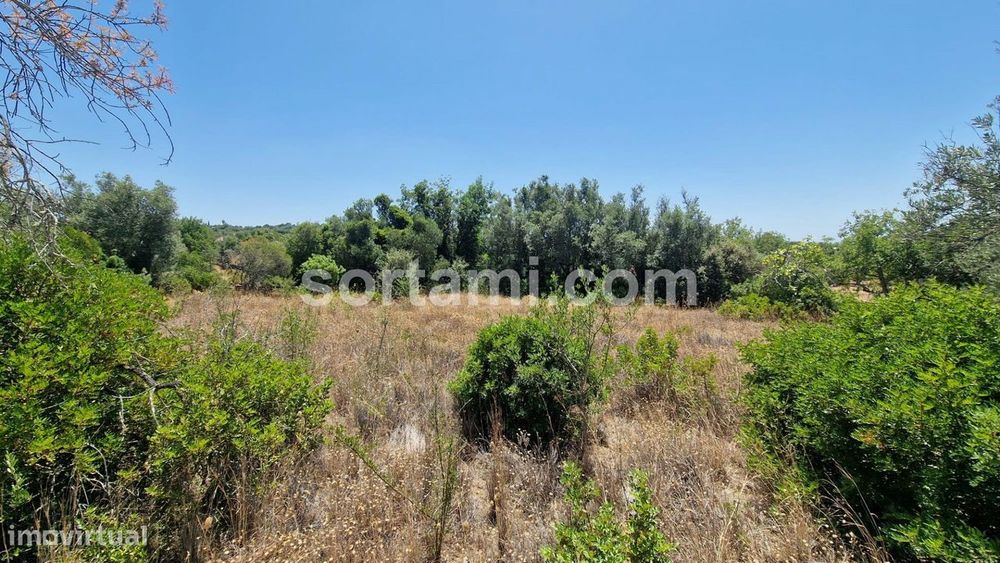 Terreno Para Construção  Venda em Santa Bárbara de Nexe,Faro