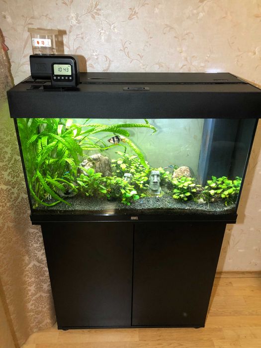 Акваріум Juwel 140л , з тумбою та усіма необхідними аксесуарами Juwel