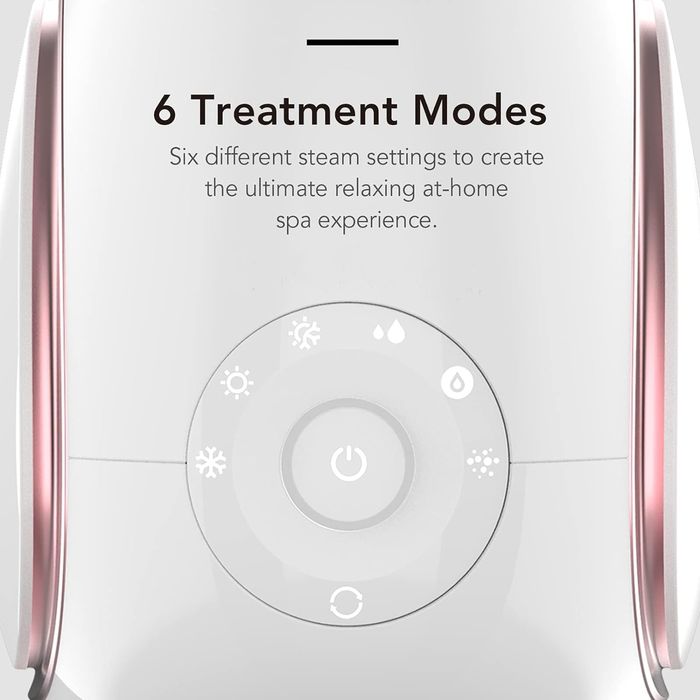 Fancii nano-jonowy parowiec do twarzy