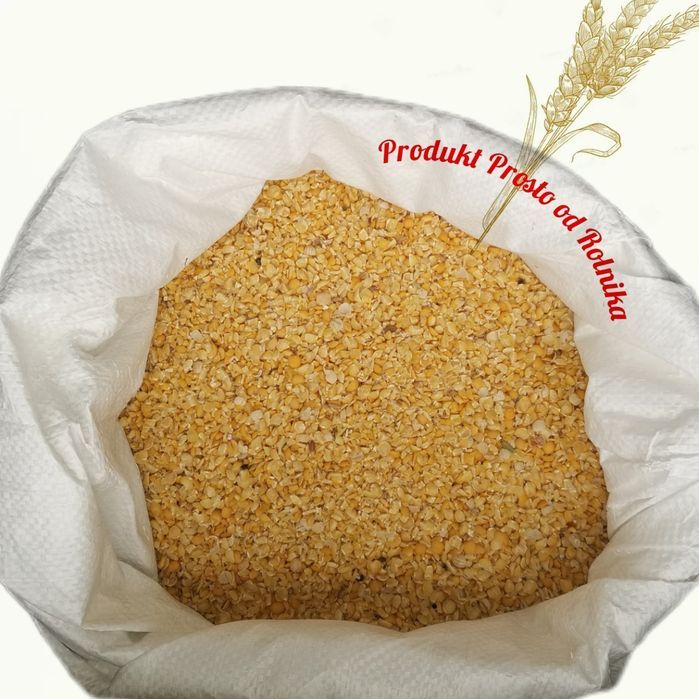 Groch drobny opakowanie 25kg wysyłka natychmiast Inpost