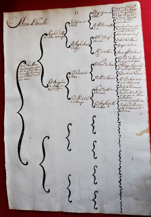 Abreu s de Fornelos Quinta de Barreiros genealogia 1746