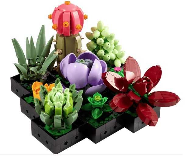 Conjunto LEGO suculentas
