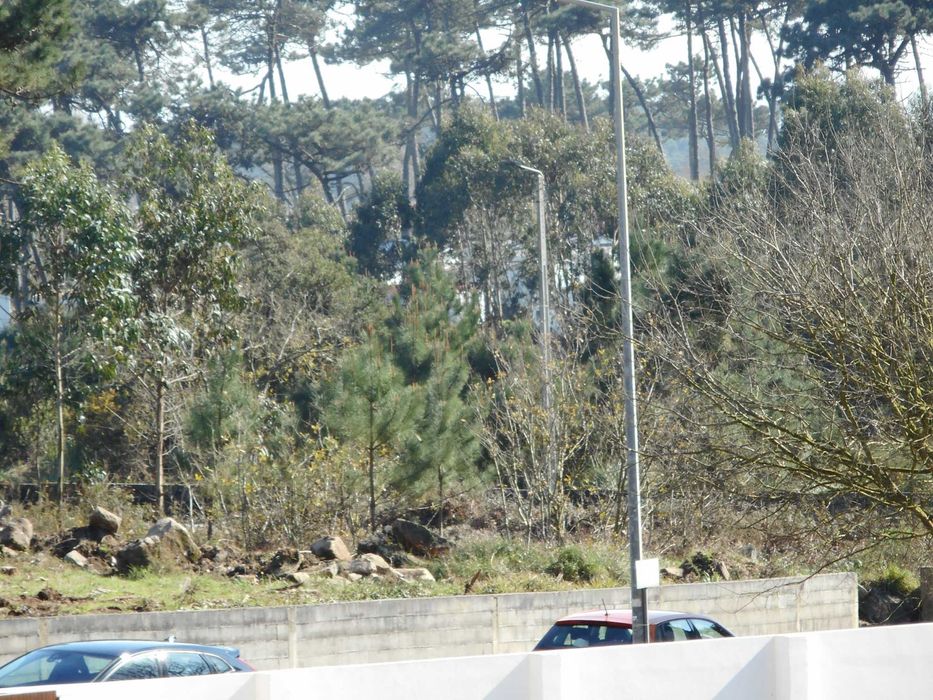 Camera digital ROLLEI Flexline 140 como nova