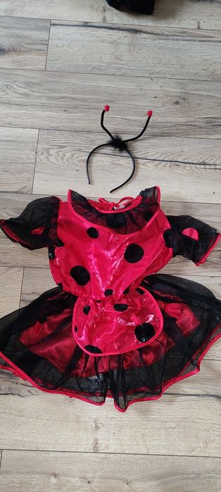 Strój biedronki r 104/110
