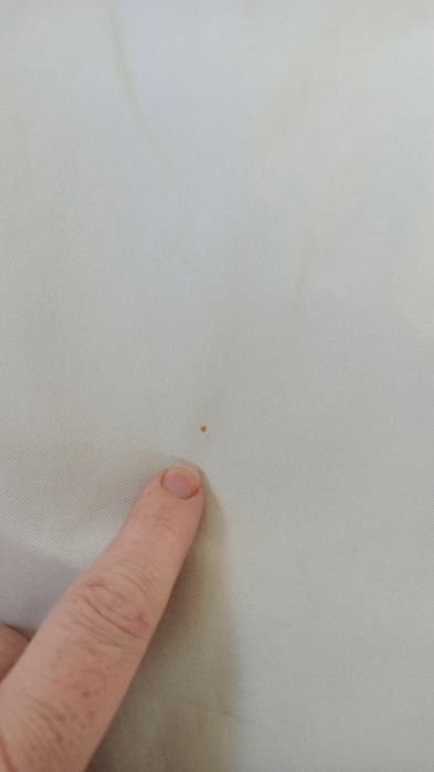 Sg duże męskie spodnie XXL jasne spodnie XXL