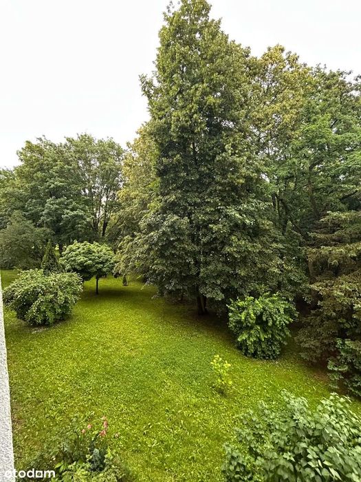 2/3 pokoje | 45 m² | Mistrzejowice | ul. Wiślicka