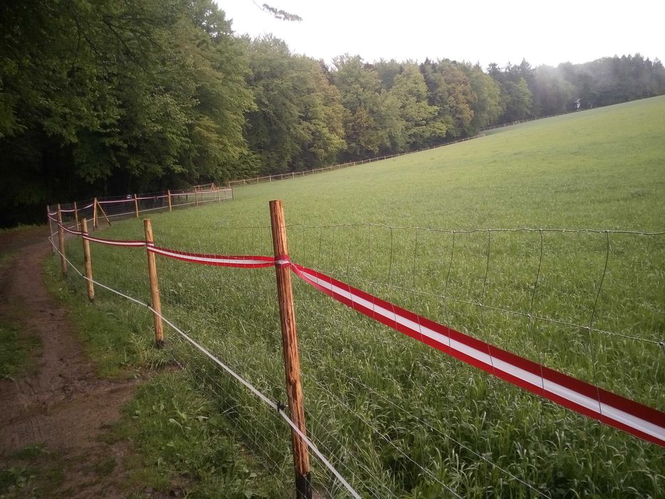 Ogrodzenie z siatki leśnej tymczasowe budowlane FAKTURA VAT od 23 zł