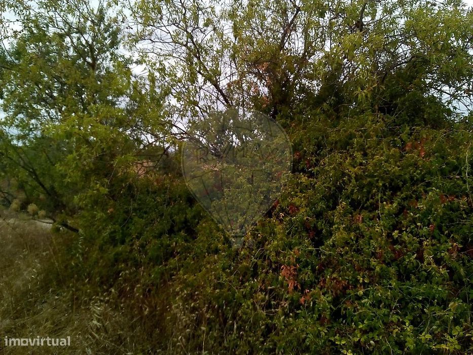 Terreno  para venda — Parreira E Chouto, Santarém