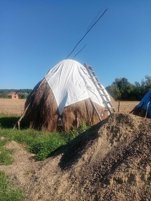 Продам        сіно