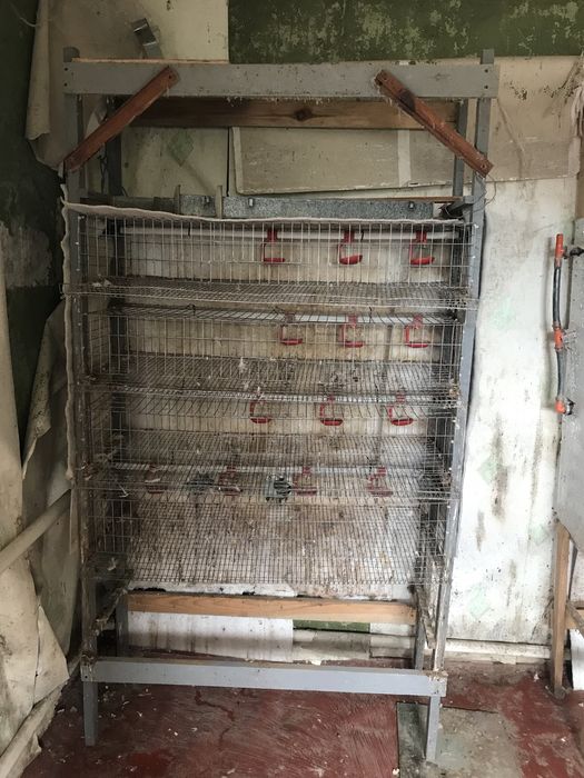 Клетки для перепелов