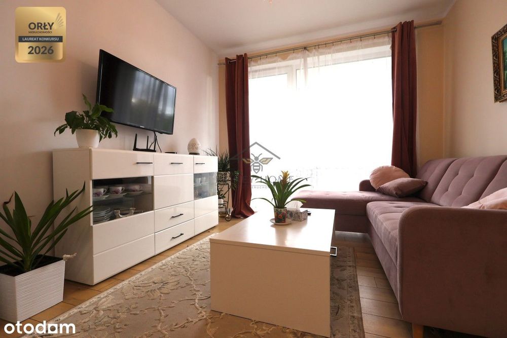 Apartment in Rumia - View 4