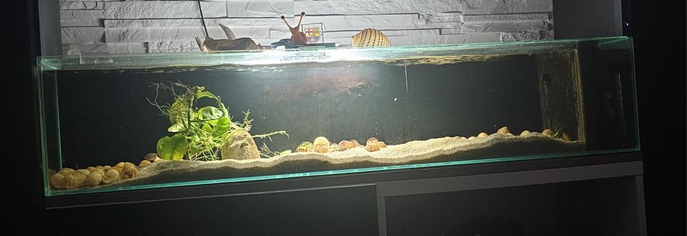 Akwarium 120x25x25