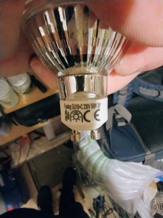 Żarówki GU10 nie led