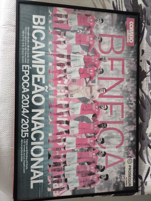 Quadros Benfica campeão