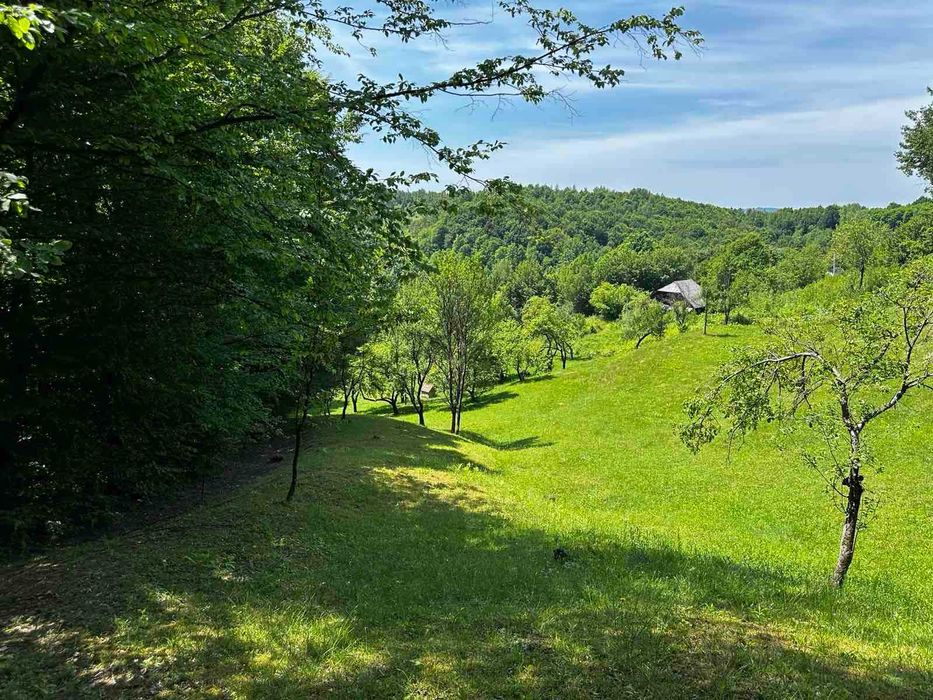 Продається старий будинок з великою земельною ділянкою