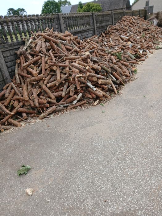 Drzewo opałowe rąbane lub w pieńkach