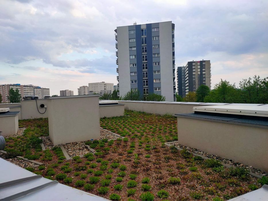 2 pokoje z balkonem * KATOWICE*