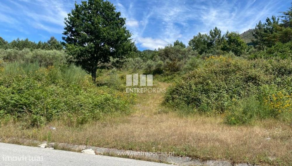 Land for Sale with Construction Potential, São Cristovão de Mo