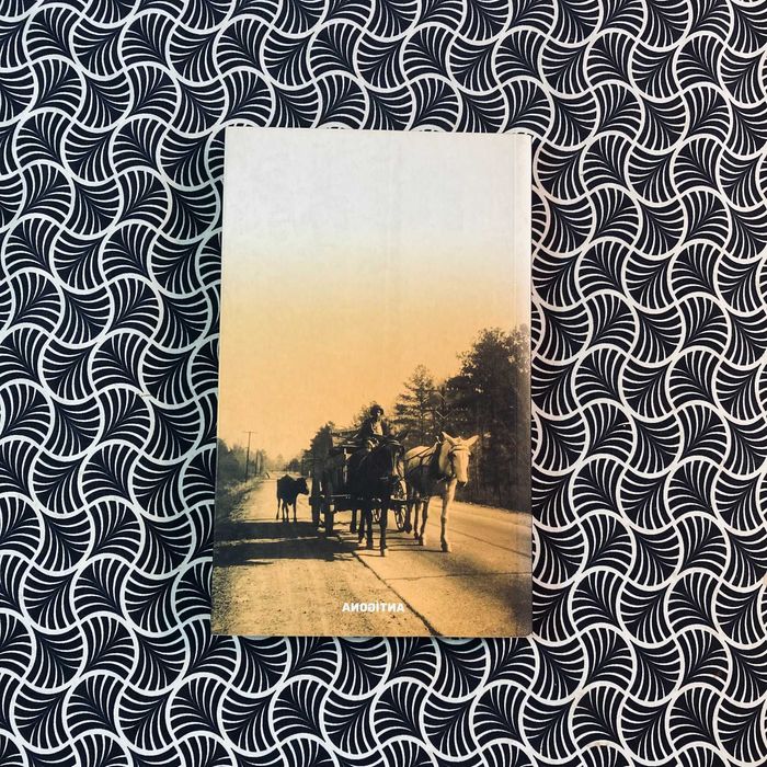 Os Ventos e Outros Contos - Eudora Welty