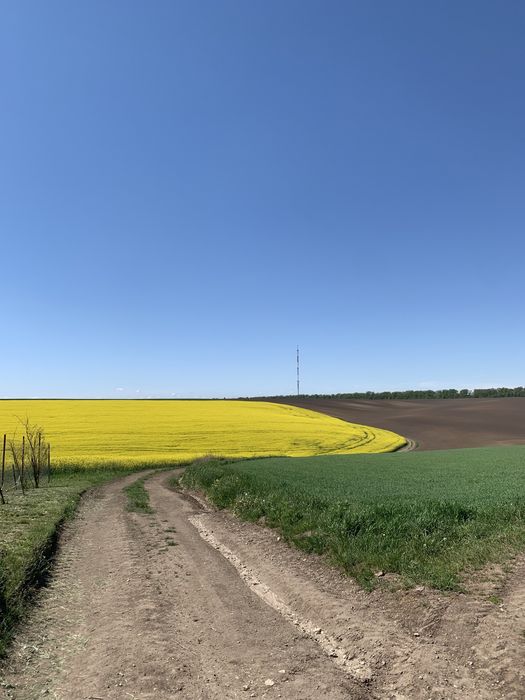 Панорамна земельна ділянка поблизу Тернополя