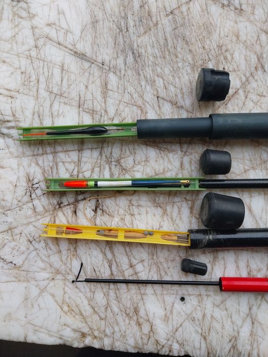 Canas pesca bolonhesa