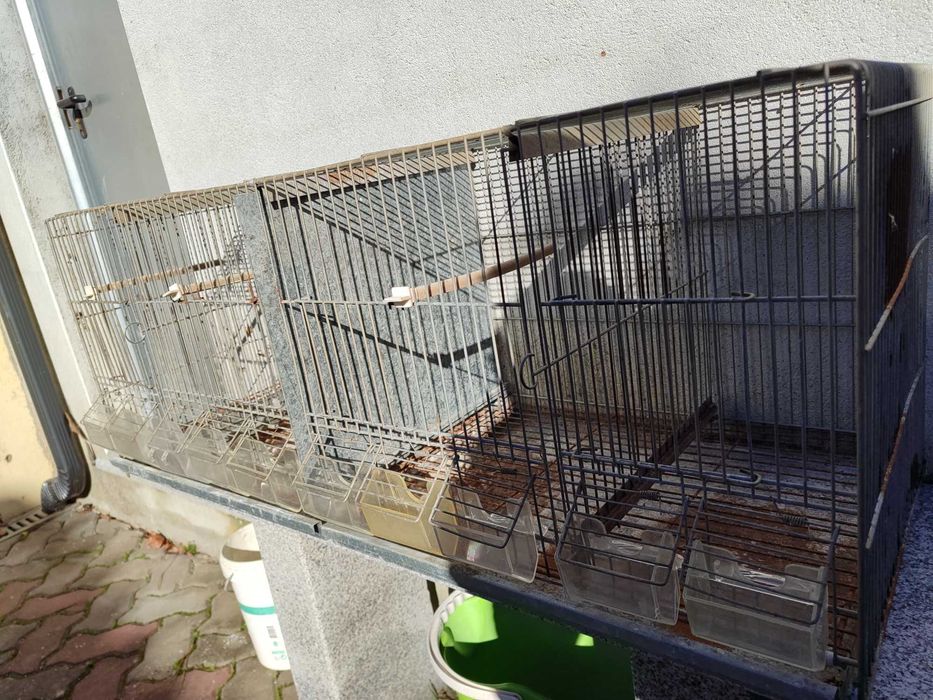 Gaiolas criação aves