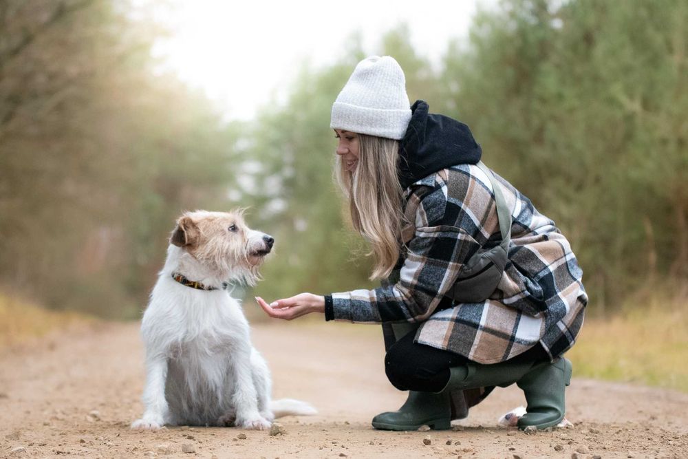 Piękna delikatna sunia Astrid w typie terrier szuka kochającego domu