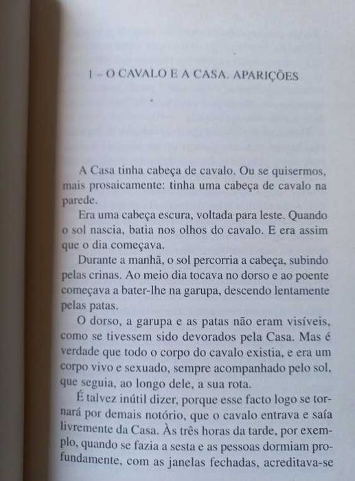 A Casa da Cabeça de Cavalo - Teolinda Gersão