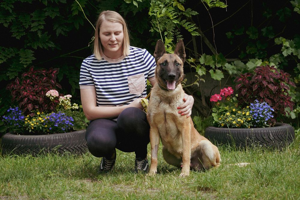Baron - niewidomy pies szuka domu - w typie owczarek belgijski