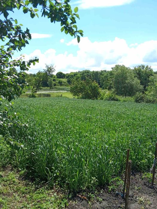 Продам будинок біля річки Яблунівка власник