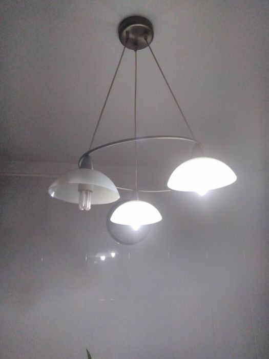 Exquisite Ceiling Lamp