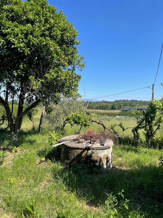 Terreno rústico com anexo