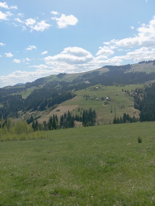 Продається земельна ділянка 94 сотики в Верховині присілок Пушкарі.