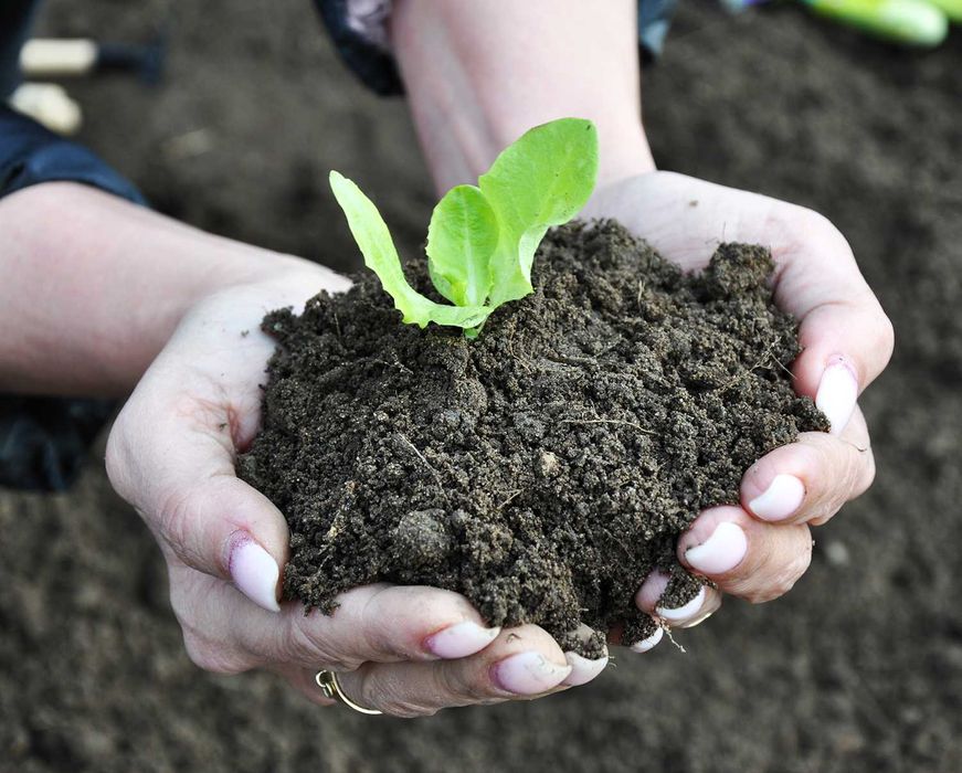 Podłoże PREMIUM Ziemia Ogrodowa pod TRAWNIK humus  GLIWICE dostawa