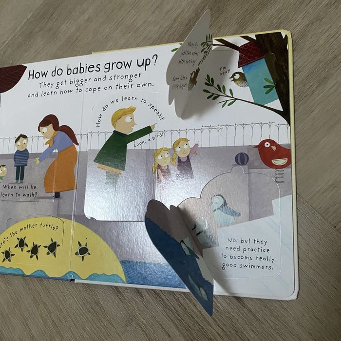Książka anglojęzyczna z okienkami Where do babies come from?