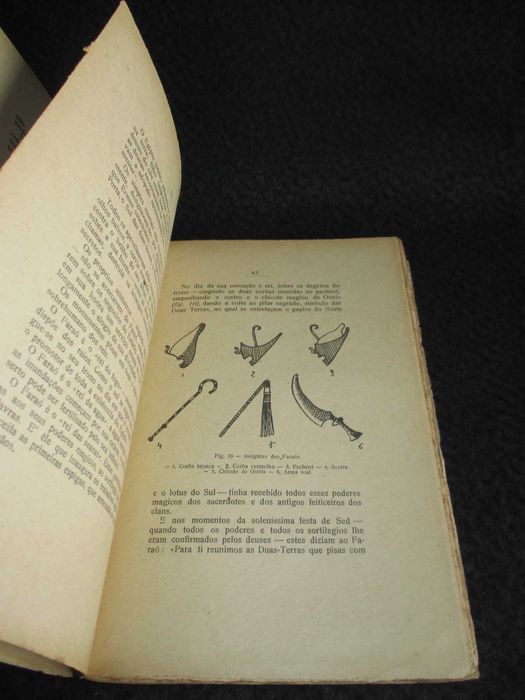 Livro A Evolução da Humanidade III Dos Clans aos Impérios Chagas Franco