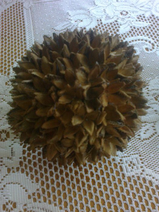 Dwie kule z bukowych orzeszków - EKO