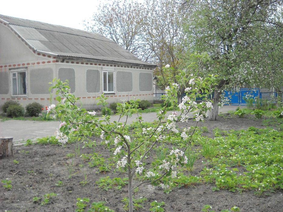 продам будинок в селі Вільховатка