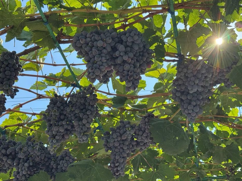 Продається дача Ближні дачі