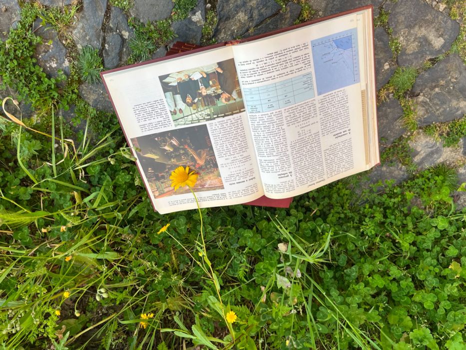 Enciclopédia Juvenil Alfa Estudante